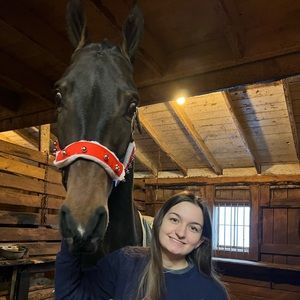 Meet your Posher, Bailey